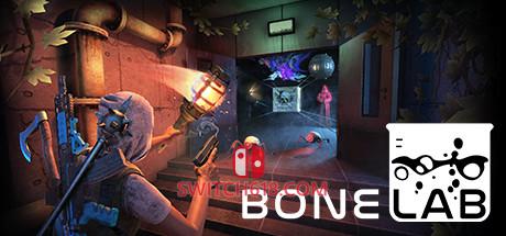 《骨骼实验室(BONELAB)》|Build 13636907+STEAM联机补丁|英文|免安装硬盘版