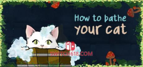 《如何给猫洗澡(How To Bathe Your Cat)》|v7340578|英文|免安装硬盘版