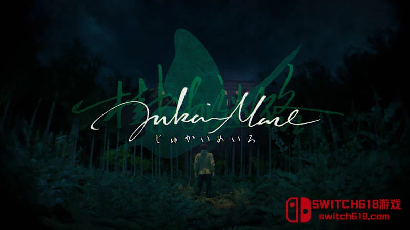 树海迷宫 Jukai Maze|中文|NSZ|