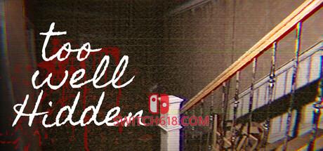 《藏的太好(Too Well Hidden)》|v1.0.1|中文|免安装硬盘版