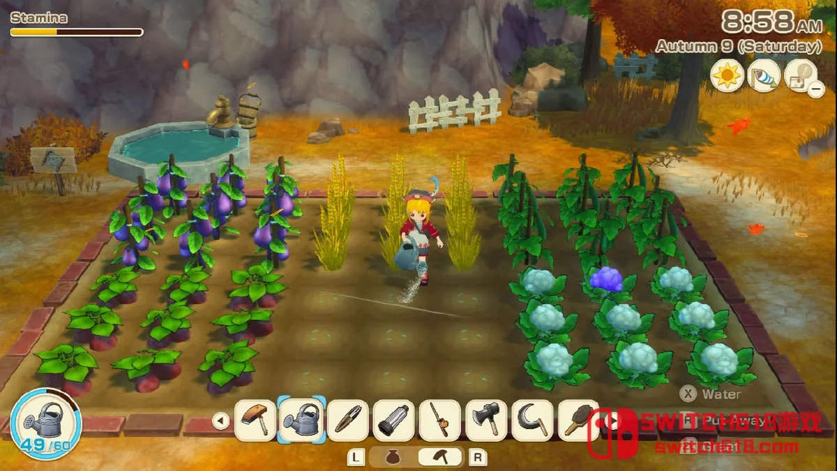 牧场物语风之繁华集市|本体+1.5.0补丁+11DLC|中文|NSP|STORY OF SEASONS: Grand Bazaar 牧场物语风之繁华集市